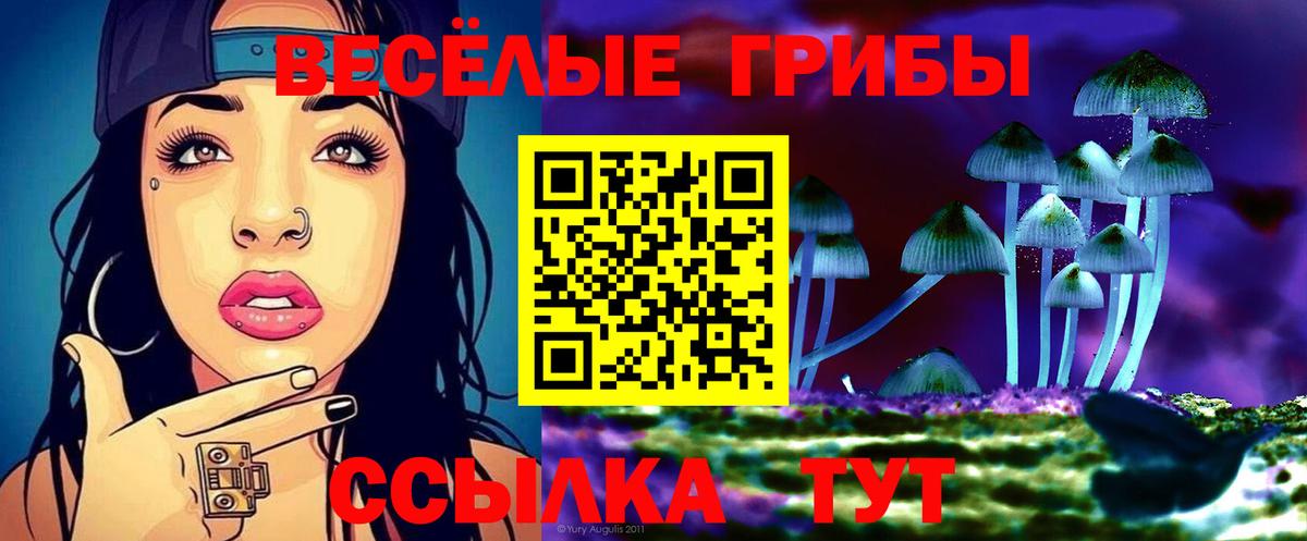 Галлюциногенные грибы ЛСД Каспийск
