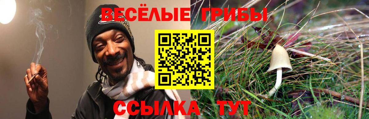 Галлюциногенные грибы GOLDEN TEACHER  Галлюциногенные грибы Magic Shrooms  хочу   Вход с VPN  Каспийск 